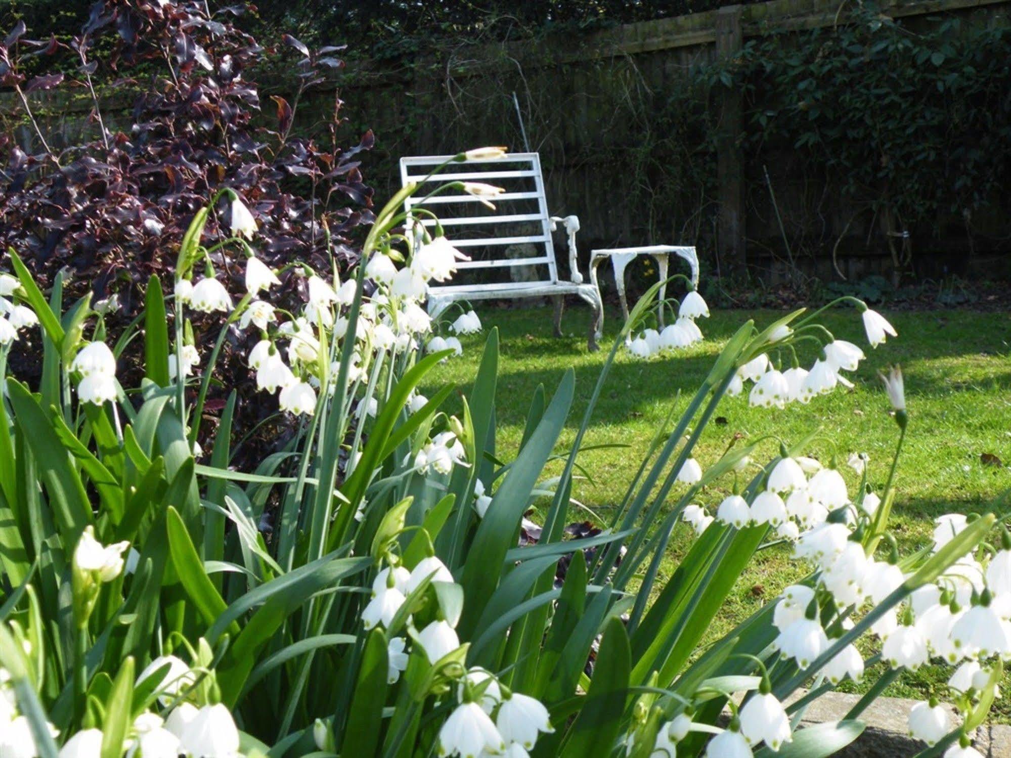 Bed and Breakfast Broadlands Gate Brockenhurst Exterior foto